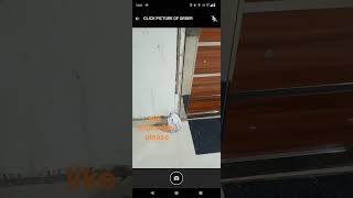 No contact delivery swiggy delivery partner shortvideo minivlog swiggydeliverypartner vrkatiyar [upl. by Meunier367]