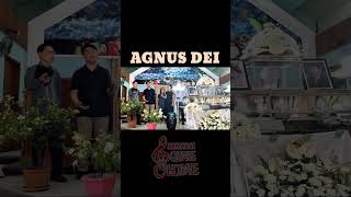 Agnus Dei short video [upl. by Fishman300]