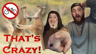 I Showed My Wife How Dangerous Kangaroos Can Be [upl. by Dafna]