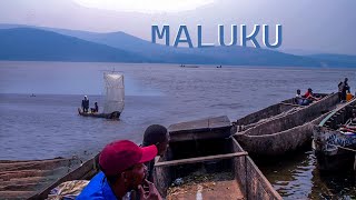 DECOUVERTE MALUKU VUE DU FLEUVE CONGO  TOLANDA BA PECHEUR NA BA MAMAN YA LIBONGO MULELE [upl. by Neeuq755]