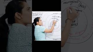 Bronfenbrenners Bioecological System Theory CDP for CTET and HTET by Pramila yaduvanshi [upl. by Darken583]