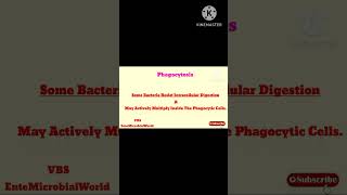 Mechanism Of Phagocytosis EnteMicrobialWorld biology microbiology shortsfeed immunology yt [upl. by Barnum]