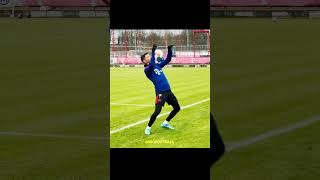 Lewandowski Training Skills 🔥 [upl. by Wilsey]