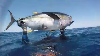 Costa Rica 2016 Surfing and Spearfishing adventure [upl. by Wilbert254]