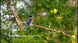 Sensational Sundarbans of Bangladesh  Part 1 [upl. by Eelarual708]