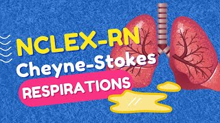 CheyneStokes Respirations  High Yield NCLEXRN Question Review [upl. by Virginie]