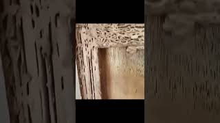 STOP Letting Termites Eat Away Your Home [upl. by Eevets]