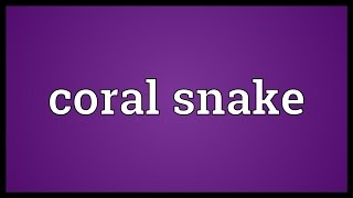 Coral snake Meaning [upl. by Hartley]