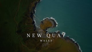 New Quay  Wales  4K Cinematic FPV [upl. by Ensign]