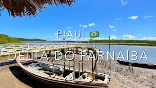 PIAUÍ 🇧🇷  DELTA DO PARNAÍBA [upl. by Tnomed103]