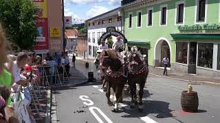 Brauereiwagen Geschicklichkeitsfahren Zwiesel 1482024 [upl. by Ivanah211]