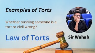 Example of Torts  Whether pushing someone is a tort  Law of Torts [upl. by Atirac380]