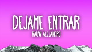 Rauw Alejandro  Dejame Entrar [upl. by Aluap263]