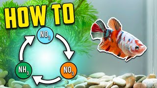 Best Nitrogen Cycle Guide for Beginners Different Methods Explained [upl. by Aseiram597]