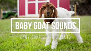 Baby Goat Sound Effects 🐐 Baby Goat Sounds [upl. by Georas]