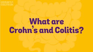 What are Crohns and Colitis [upl. by Lehcyar139]