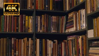 Books Shelves Library Reading by Continuous 4K  no copyright stock video footage [upl. by Plato]