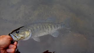 Fishing for Bartrams Bass in the Chattooga River South CarolinaGeorgia blackbassfishing [upl. by Burner12]