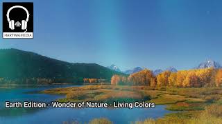 Living Colors  Musik für Naturfilme  Music for Naturefilms [upl. by Eddie]