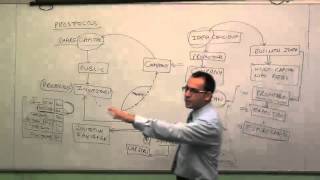 Company Law Lectures for CACSCMA Video  PROSPECTUS [upl. by Aiseneg]