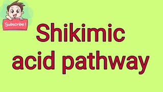 Shikimic acid pathway [upl. by Queri]