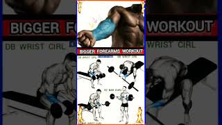 Bigger Forearms Workout forearmswrist strength exercises [upl. by Airretal421]