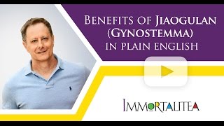 Benefits Of Jiaogulan Gynostemma in Plain English [upl. by Mitzl]