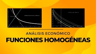 Funciones Homogéneas para el Análisis Económico [upl. by Daus]