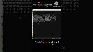 Curl Command Nyan Hack Master It in 60 Seconds [upl. by Hezekiah]