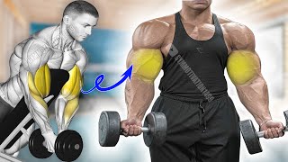 6 MAGIC Exercises to Build Big Biceps [upl. by Ajiam]