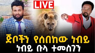 ከጅቦች ጋር የተፋጠጠውነብይና አስደንጋጩ ክስተትከነብይ ቡላ ተመስገንጋር13 April 2022 [upl. by Wendt311]