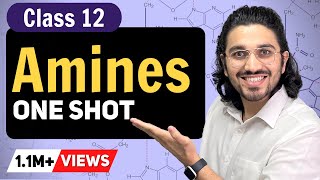 Amines Class 12 in ONE SHOT  Class 12  Term 2  Class 12 Chemistry  CBSE  NCERT [upl. by Gona]