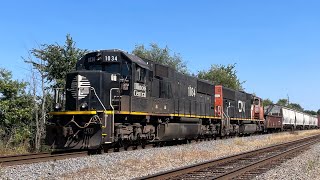 Railfanning The Chicago Heights Illinois￼ Diamond ￼featuring ￼CN Diesels amp a UP Big Boy on ￼9924 [upl. by Nilloc]