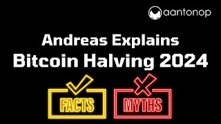 Bitcoin Halving 2024 How Its Different This Time Myths Debunked Bitcoin Bugs and More [upl. by Idnahk]