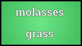 Molasses grass Meaning [upl. by Natica836]