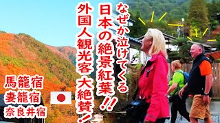 【リアルな海外の反応】びっくり！ほぼ全員 外国人観光客！馬籠（まごめ） 妻籠（つまご） 奈良井（ならい） 素晴らしい紅葉と懐かしい日本の原風景 [upl. by Elata]