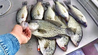 Catch SLAB After SLAB With This Crappie Fishing Secret [upl. by Krause]