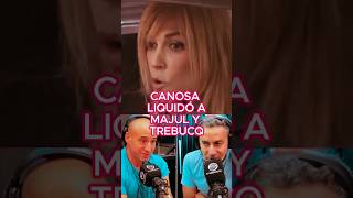 CANOSA LIQUIDÓ A PERIODISTAS CHUPAMEDIAS DE MILEI canosa milei majul trebucq chupamedias [upl. by Ahselat73]