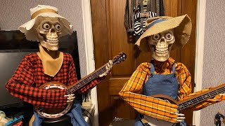 DUELING BANJO SKELETONS Animated 3FT Halloween Prop Costco 2019 [upl. by Neehs170]