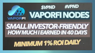 HOW MUCH I EARNED AFTER 40 DAYS IN VAPORFI VPND  BEST NODE PROJECT FOR SMALL INVESTORS [upl. by Latvina]