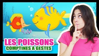 Les petits poissons dans leau  Comptines à gestes pour les bébés  Titounis [upl. by Fromma]