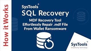 Effortlessly Repair mdf File From Wallet Ransomware  MDF Recovery Tool [upl. by Genni]