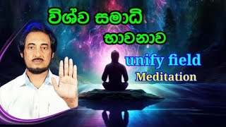 විශ්ව සමාධි භාවනාව Unify filed meditation  Deegoda kumara Gurudev [upl. by Esteban679]