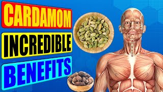 CARDAMOM BENEFITS  13 Impressive Health Benefits Of Cardamom❗️ [upl. by Adnovay374]