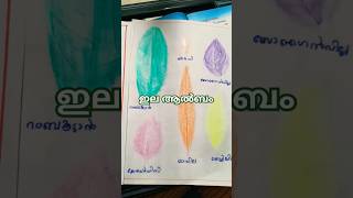 Leafprint album 2nd std malayalam viralshorts [upl. by Aiden908]