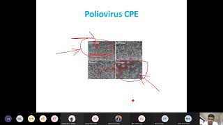 Lecture5 SBL704 Virology 15 01 2022 [upl. by Nospmis663]