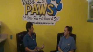 Avoiding Fur Matts Pt 1 Pet Grooming Tips from Villa La PAWS [upl. by Ymma]