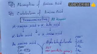 Transamination  Transdeamination of Amino Acids  Note  MEDU [upl. by Neerual549]