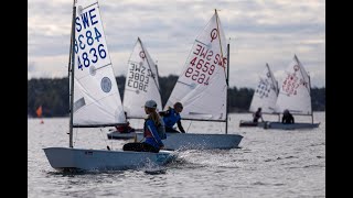 SM Optimist och Opti 11 regatta 2020 [upl. by Ahsekahs]