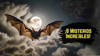 8 Curiosidades De Los Murciélagos 🦇 [upl. by Ozne92]